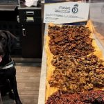 Detector Dog Nabs Nigerian with Undeclared Kilishi at Airport