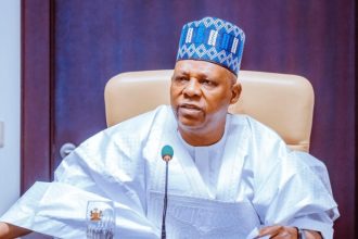 Shettima Blasts Obidients, Peter Obi