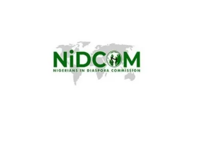 Stranded Nigerians Cleared, Depart South Africa - NiDCOM