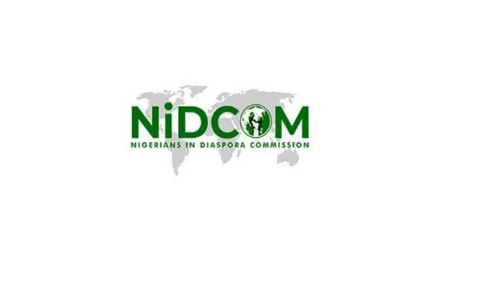 Stranded Nigerians Cleared, Depart South Africa - NiDCOM