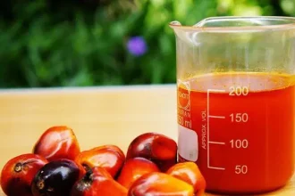 Nigeria Palm Oil Production
