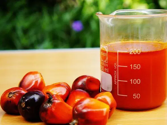 Nigeria Palm Oil Production
