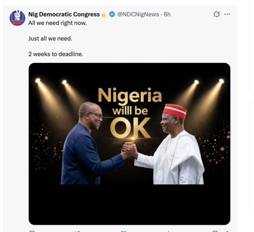'Join Us Now' – NDC Urges Obi, Kwankwaso To Defect Ahead Of 2027