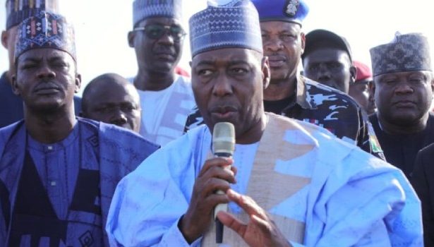 Zulum Approves Jobs for 100 Biu Graduates to Tackle Youth Restiveness