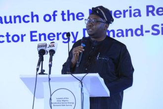 Power Minister Adelabu Resigned