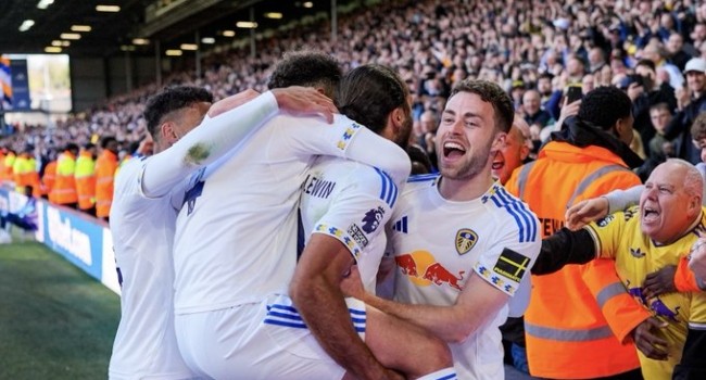 Leeds Ease Relegation Fears with Wolves Win