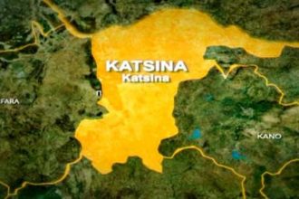 Terror in Katsina as Communities Flee Following Bandit Demand for 1,700 Livestock