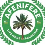 Afenifere Warns Of Escalating Terror And Kidnappings Across Yorubaland