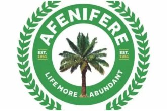 Afenifere Warns Of Escalating Terror And Kidnappings Across Yorubaland