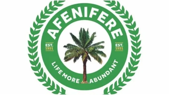 Afenifere Warns Of Escalating Terror And Kidnappings Across Yorubaland