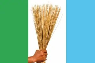 APC Commences Direct Primaries For 360 House Of Reps Tickets Tomorrow