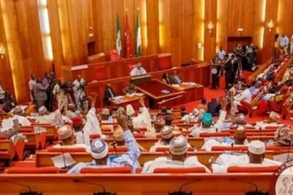 Oyo School Attack: Outrage As Abduction Videos Emerge, Senate, Yoruba Leaders Demand Action