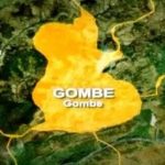 Gombe State Police Command Uncovers 119 Rounds of Live AK-47 Ammunition Near Graveyard