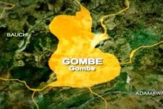 Gombe State Police Command Uncovers 119 Rounds of Live AK-47 Ammunition Near Graveyard