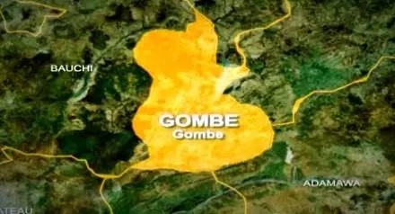 Gombe State Police Command Uncovers 119 Rounds of Live AK-47 Ammunition Near Graveyard