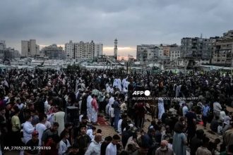 Livestock Deficit And War Inflation Strip Festive Spirit From Gaza