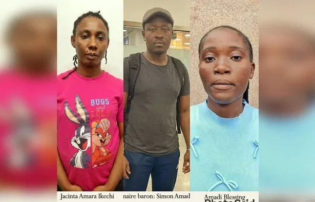 NDLEA, Foreign Agencies Smash Cross-Border Drug, Money Laundering Ring