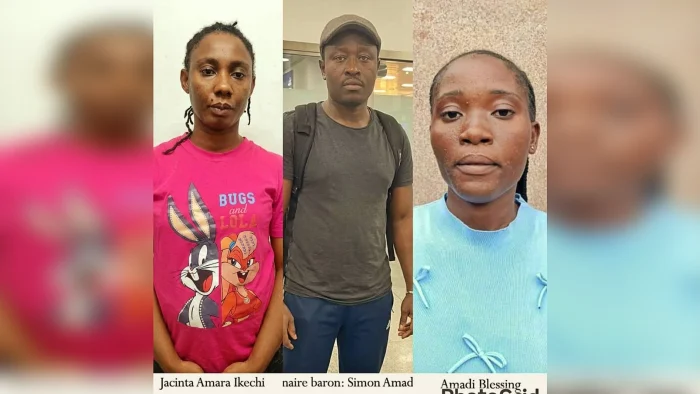 NDLEA, Foreign Agencies Smash Cross-Border Drug, Money Laundering Ring