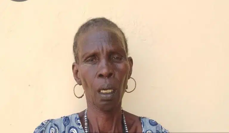 Troops Arrest Female Boko Haram Suspect In Borno