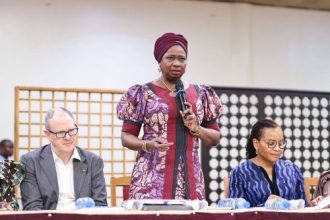 NiDCOM, IOM, Partners Reassess Diaspora Policy Implementation