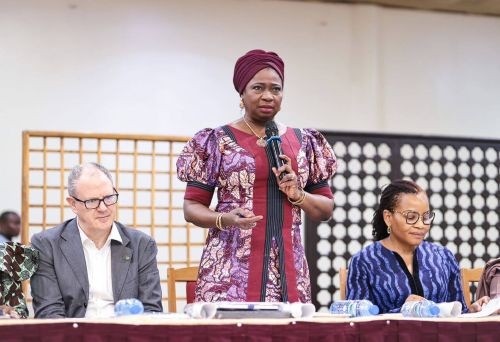 NiDCOM, IOM, Partners Reassess Diaspora Policy Implementation