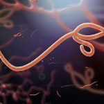 Lagos Tightens Airport Surveillance Over Ebola Threat