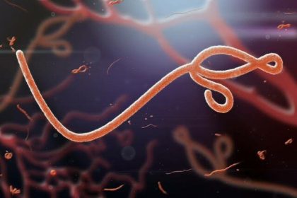 Lagos Tightens Airport Surveillance Over Ebola Threat