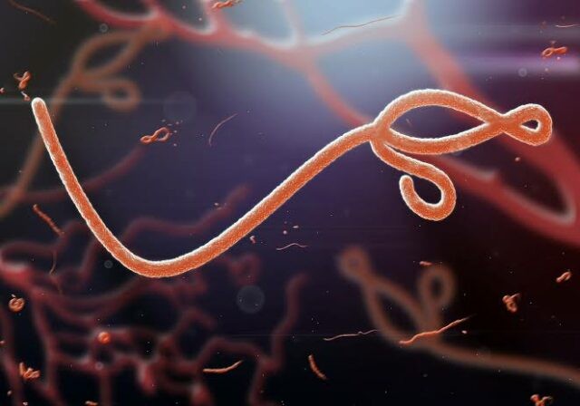 Oxford Rushes Ebola Vaccine Trials as Congo Outbreak Spreads