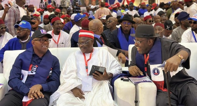 NDC Fixes ₦60m Presidential Form Fee For 2027 Election