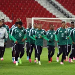 Visa Delay Forces South Africa To Postpone World Cup Trip