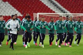 Visa Delay Forces South Africa To Postpone World Cup Trip