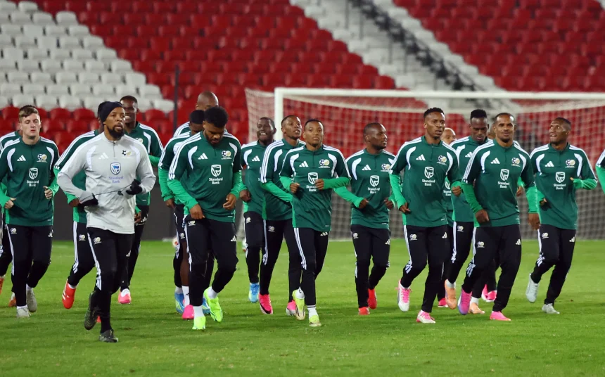 Visa Delay Forces South Africa To Postpone World Cup Trip