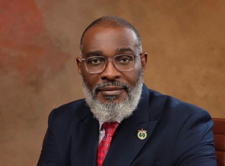President Bola Tinubu's Special Adviser on Homeland Security, Major General Famadewa (Rtd)