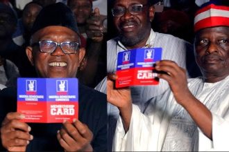 Can Obi, Kwankwaso NDC Move Hold Opposition Together or Deepen Its Crisis?