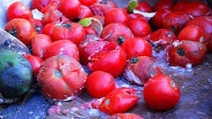 Lagos Govt Cautions Residents Against ‘Ata Esha’ Consumption