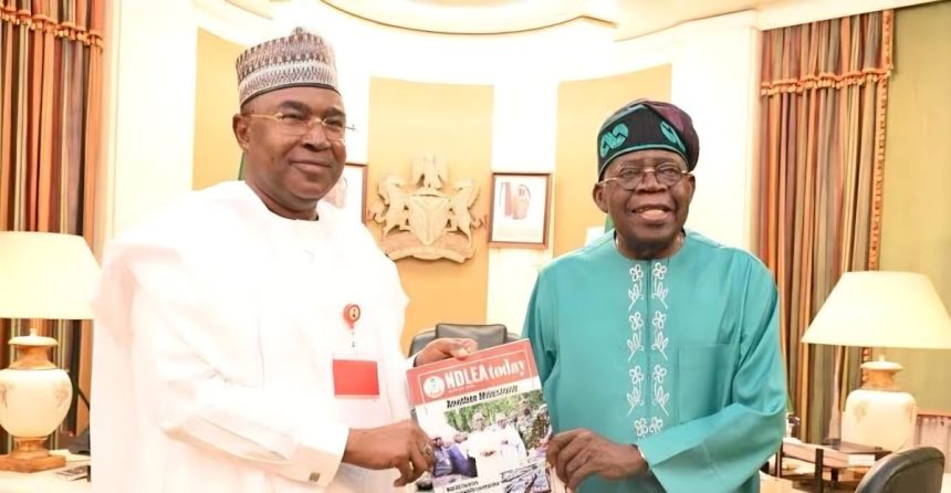 Tinubu Salutes NDLEA Over Multi-Million Dollar Drug Bust
