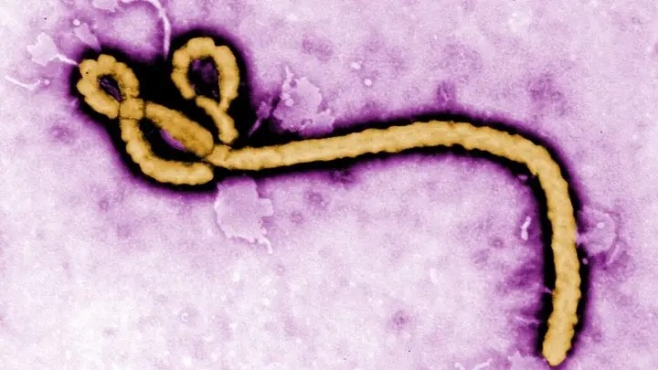 Oyo Activates Emergency Health Defenses to Keep Ebola Out