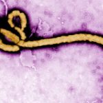 Ebola: LAWMA Issues Medical Waste Advisory To Lagos Health Facilities