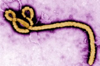 Ebola: LAWMA Issues Medical Waste Advisory To Lagos Health Facilities