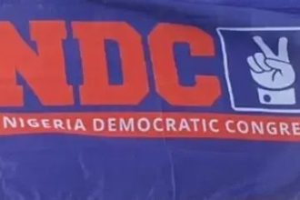 NDC Reinforces Party Supremacy, Approves Code of Conduct Panel