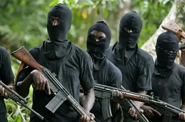 Gunmen Kidnap NECO Candidates in Borno