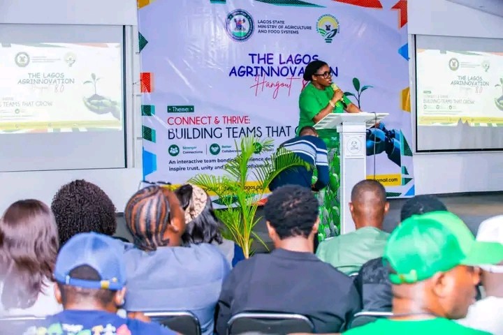 Lagos Unveils ₦200m Agrithon 3.0 Fund for Young Agripreneurs