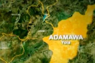BREAKING: Teacher Killed, Dozens of Students Abducted as Armed Bandits Invade Borno-Adamawa Frontier Community