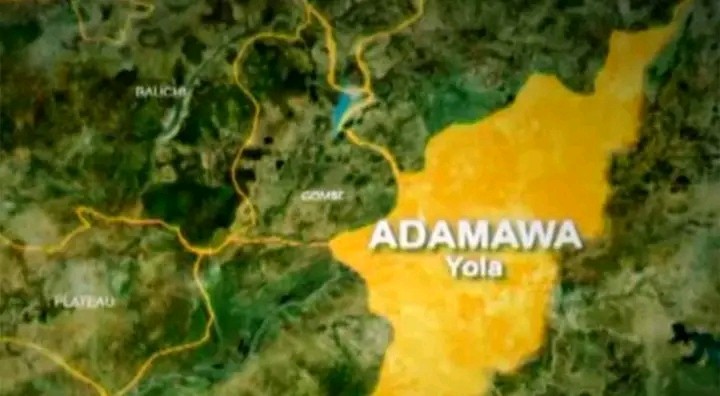 BREAKING: Teacher Killed, Dozens of Students Abducted as Armed Bandits Invade Borno-Adamawa Frontier Community
