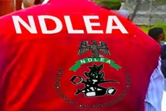 NDLEA Arms Operatives With AK-47 Rifles, Advanced Pistols to Confront Armed Cartels