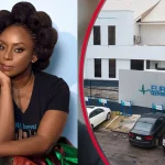 Court Suspends Inquest Into Death Of Chimamanda Adichie's Son