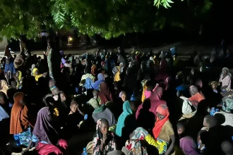 Boko Haram Releases 416 Abducted Women, Children In Borno