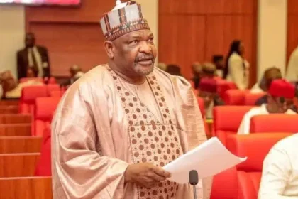 Ningi Brings Spear Into Chamber
