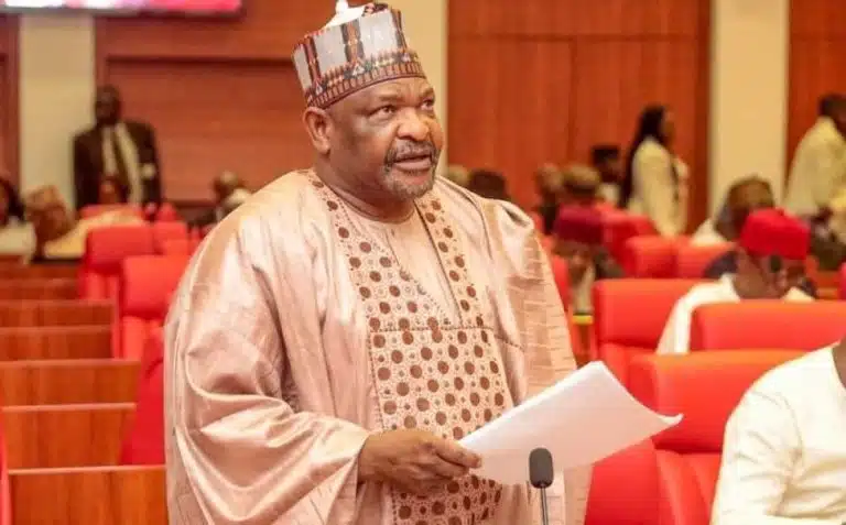 Ningi Brings Spear Into Chamber