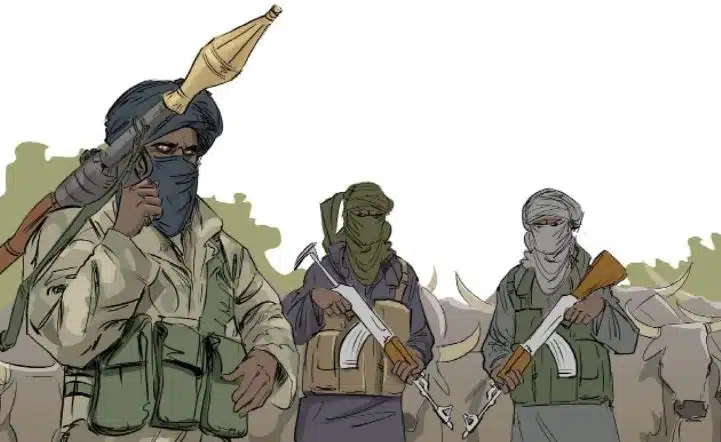 At Least 20 Feared Dead As Bandits Strike Sokoto Village Again